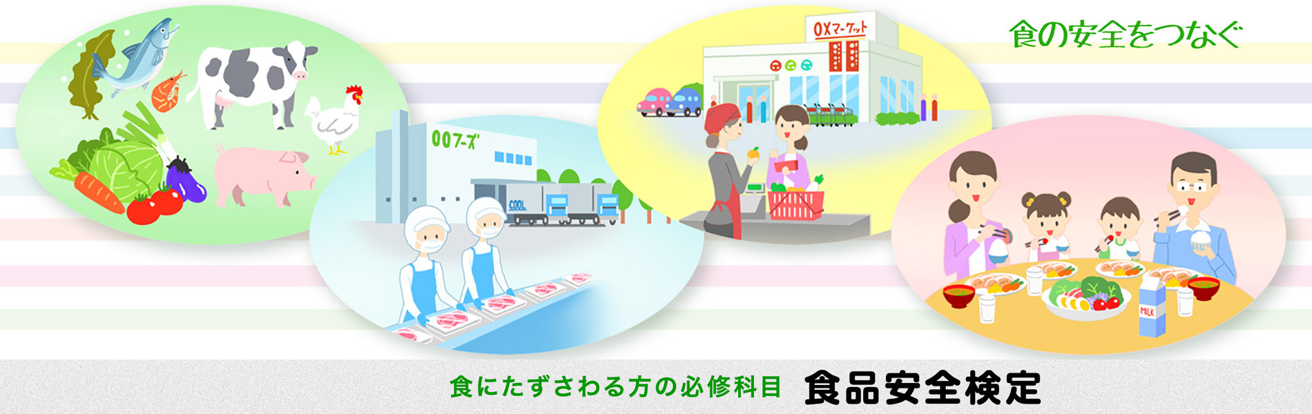 食品安全検定とは?