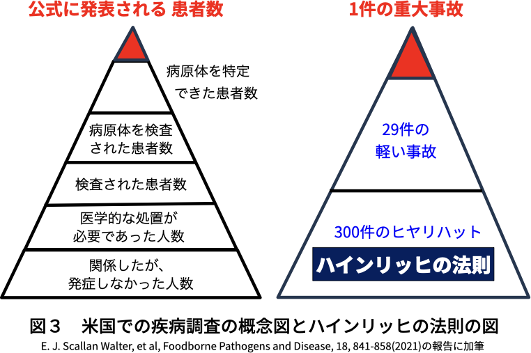 図3 米国での疾病調査の概念図とハインリッヒの法則の図